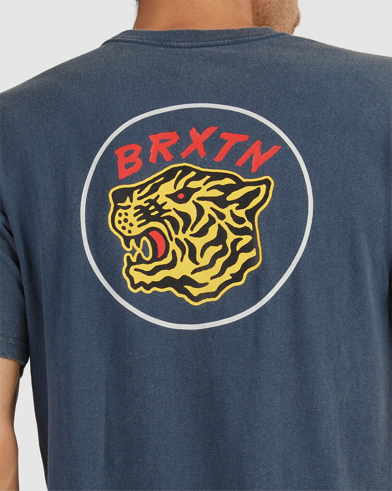 BRIXTON Kit Tee - Image 3