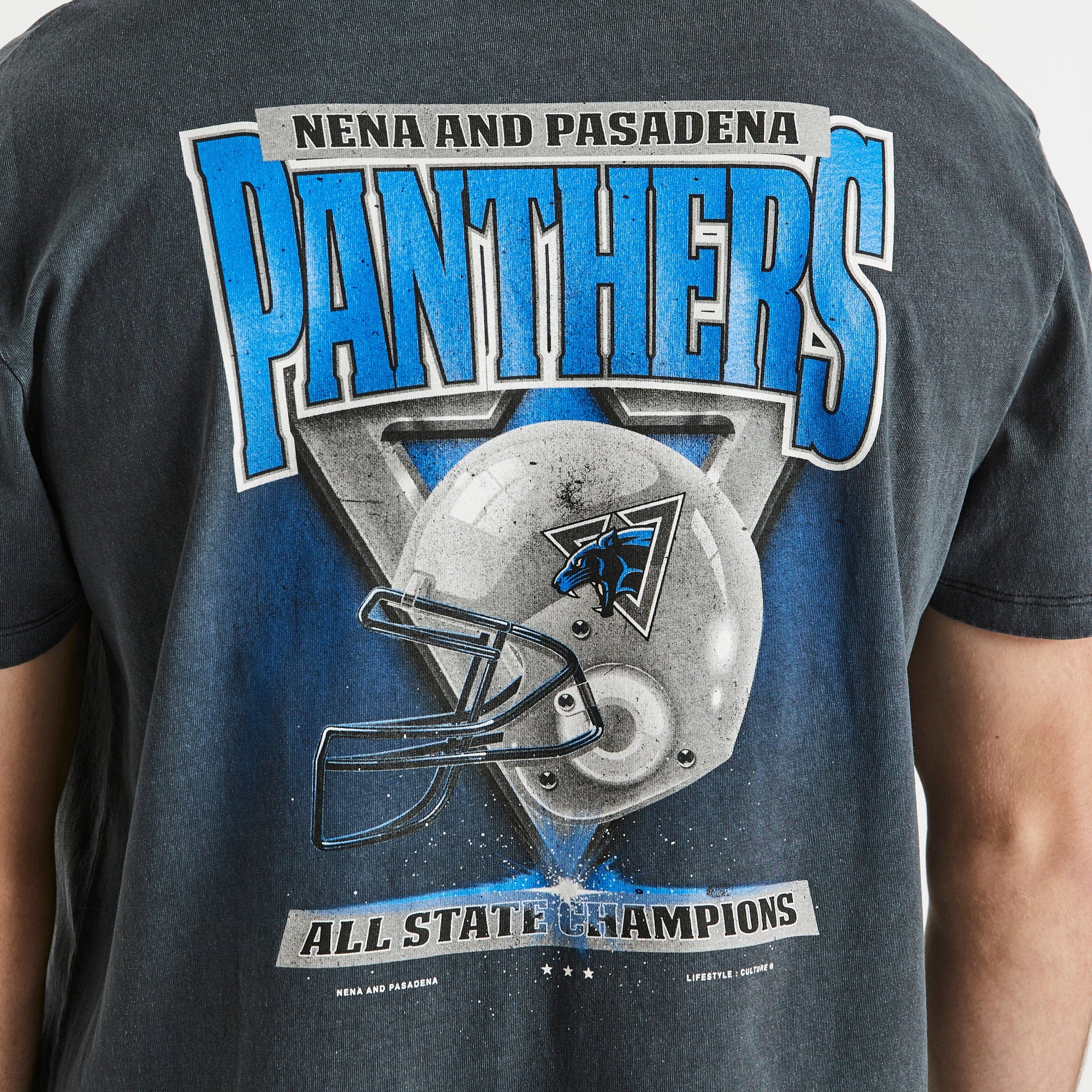 NENA AND PASADENA Panthers Relaxed Tee - Pigment Black - Image 6