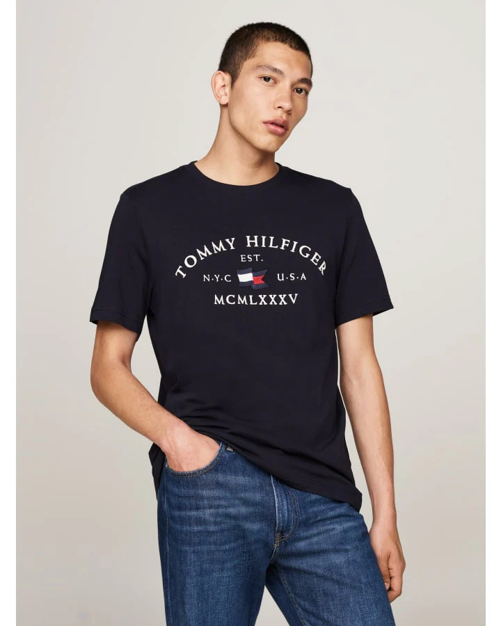 TOMMY HILFIGER MW0MW36454_DW5 NAUTICAL ARCH TEE - Desert Sky - Image 2